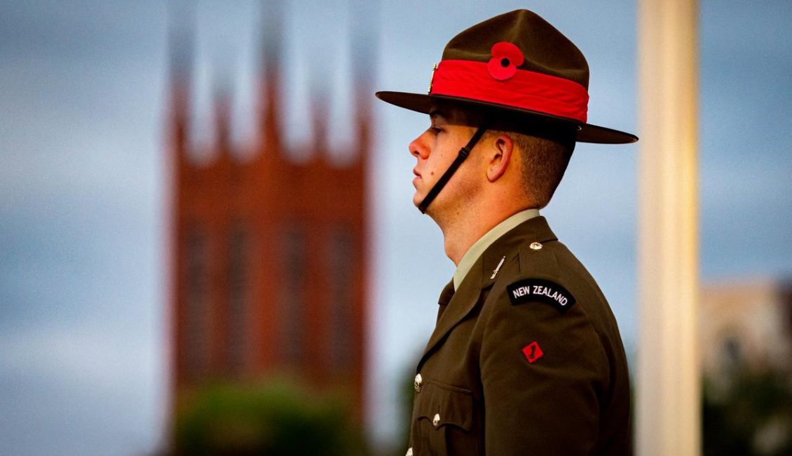 image shows a soldier standing in the sun