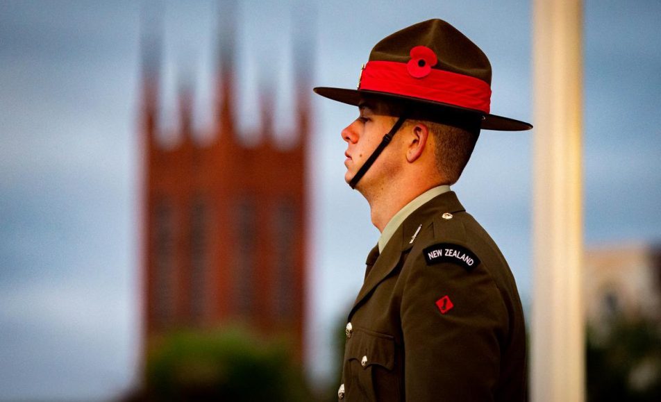image shows a soldier standing in the sun